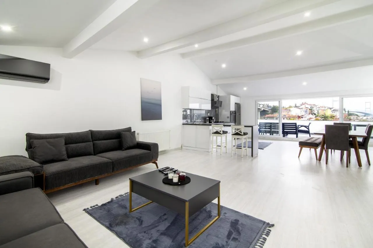 Sleek House With A Lovely Terrace In Besiktas location
