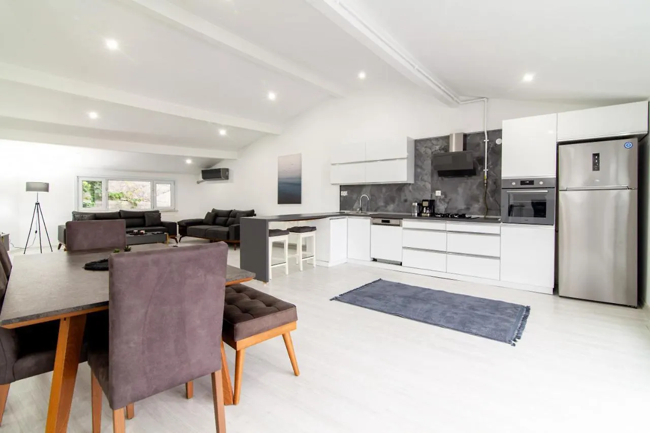 Sleek House With A Lovely Terrace In Besiktas Villa Istanbul